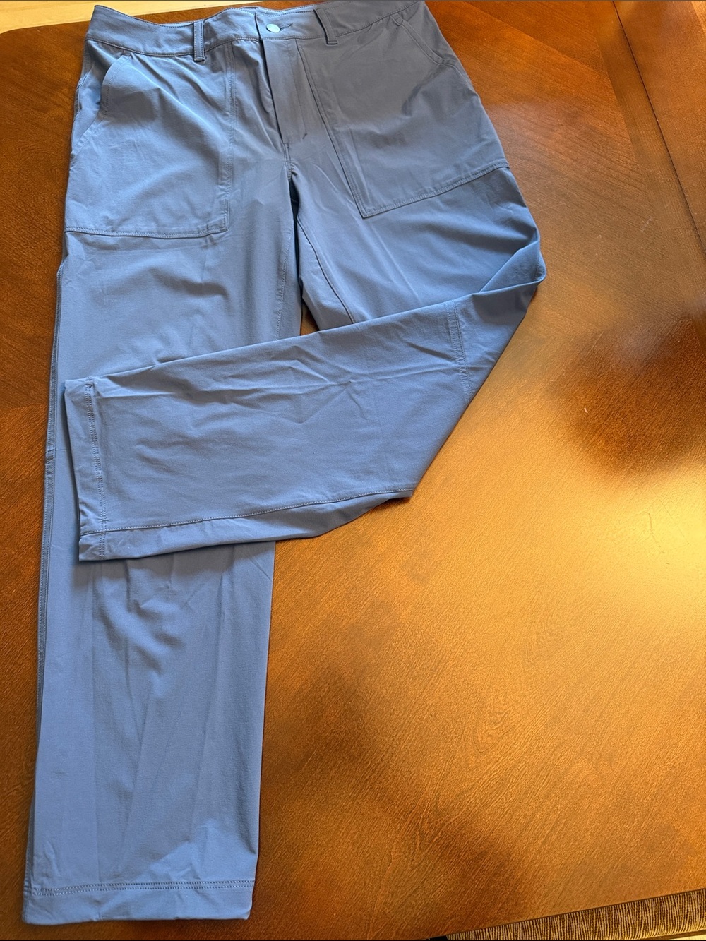 The North Face Men's Slate Blue Casual Outdoor Pants